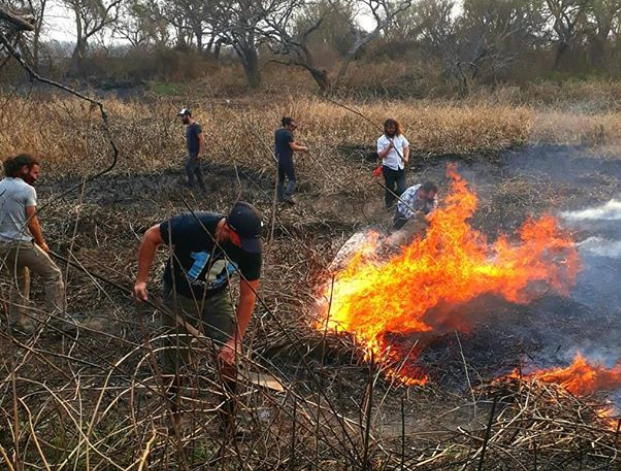 Imágenes de la ONG Acción Ciudadana Contra el Fuego.
