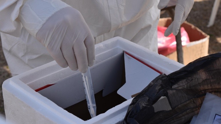 Seis nuevos casos de coronavirus y dos personas fallecidas en Casilda.
