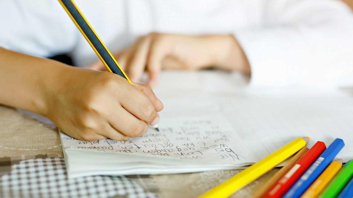 Desde el inicio de la cuarentena, el material didáctico para la escuela comenzó a virtualizarse.