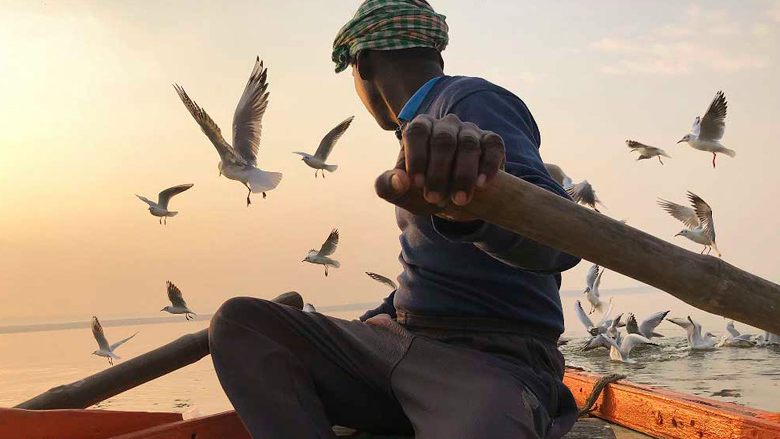 Los ganadores de los IPPAWRDS 2020 (o fotografías sacadas con iPhone)