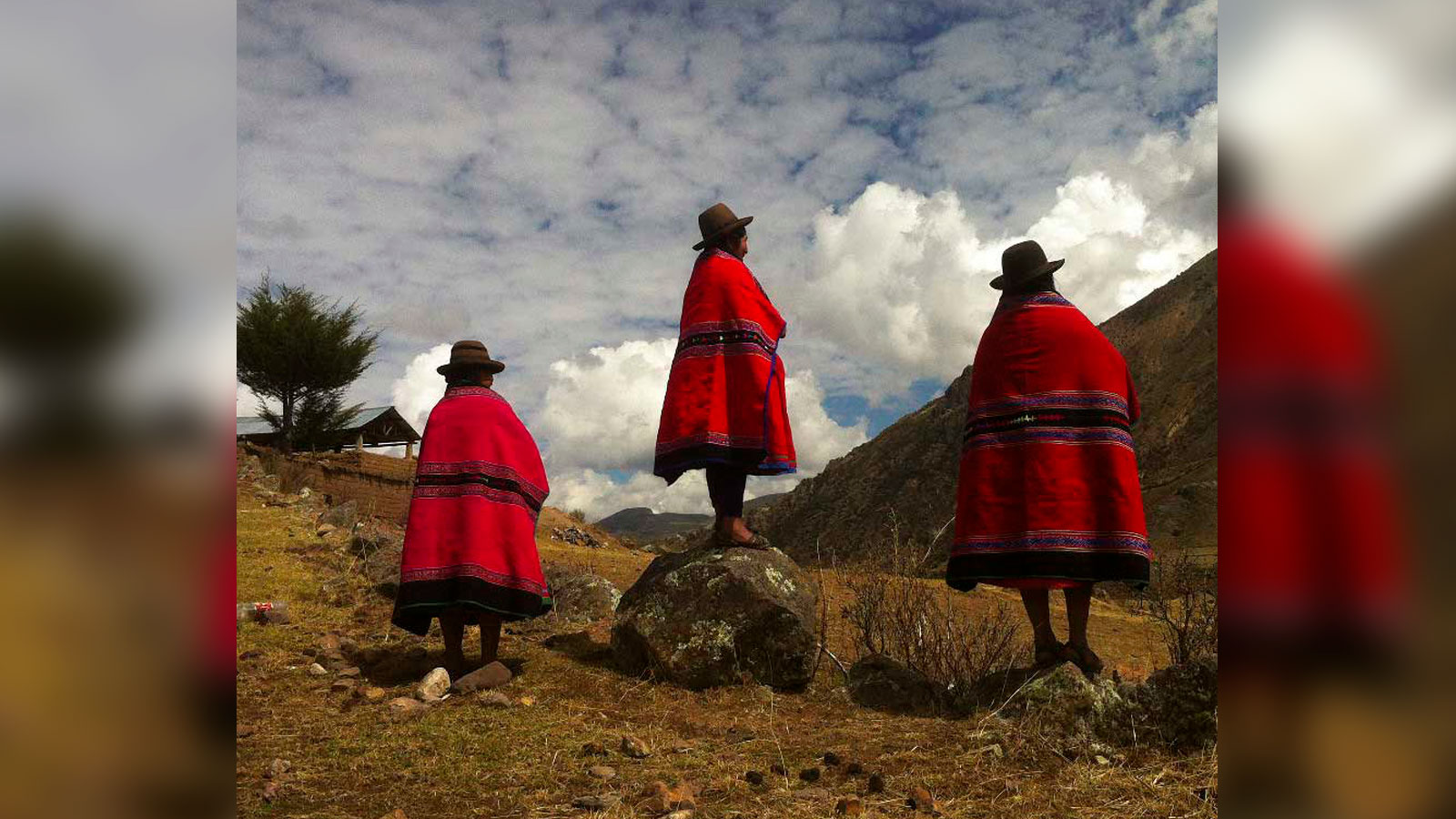 Los ganadores de los IPPAWRDS 2020 (o fotografías sacadas con iPhone)