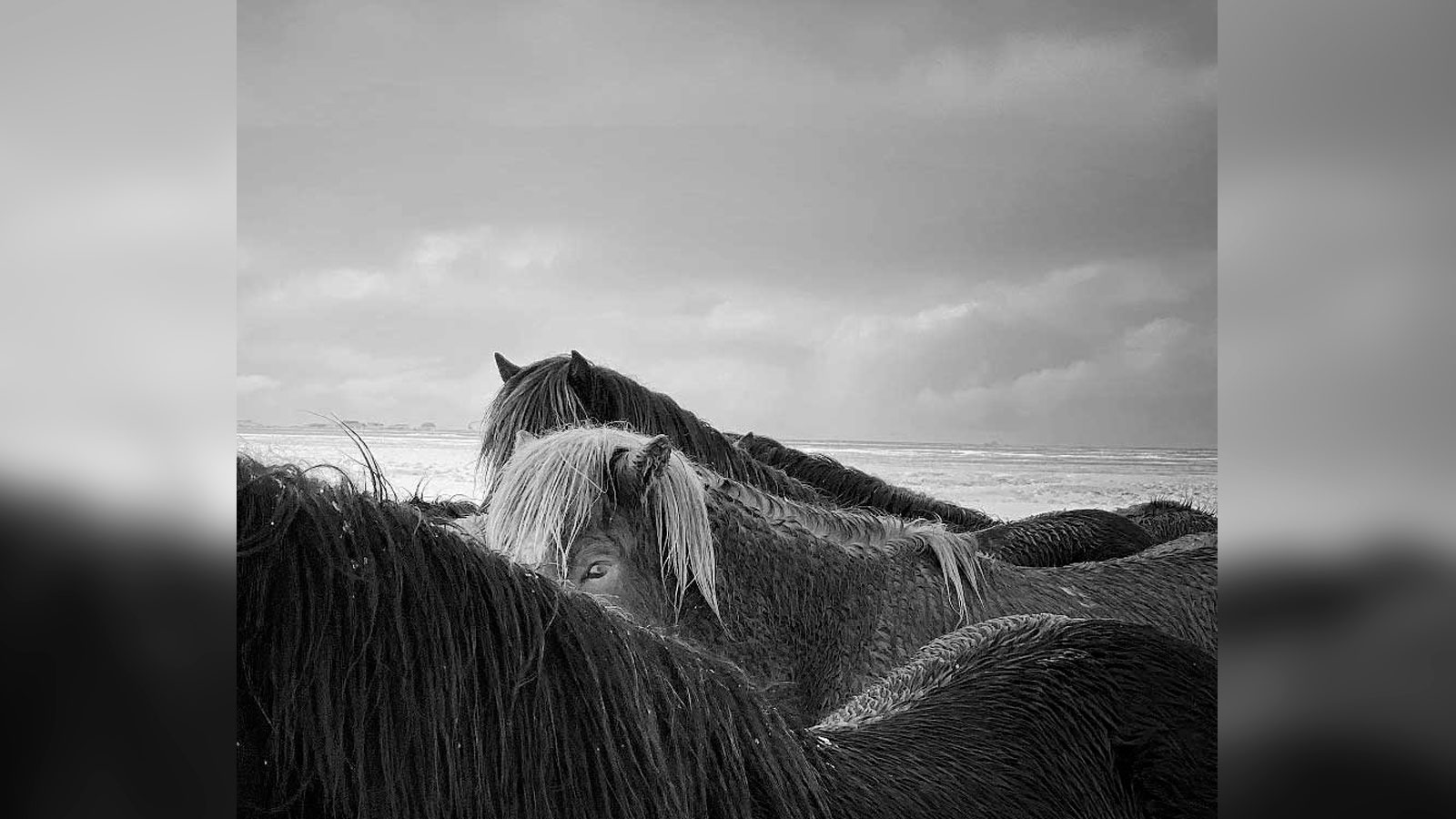 Los ganadores de los IPPAWRDS 2020 (o fotografías sacadas con iPhone)