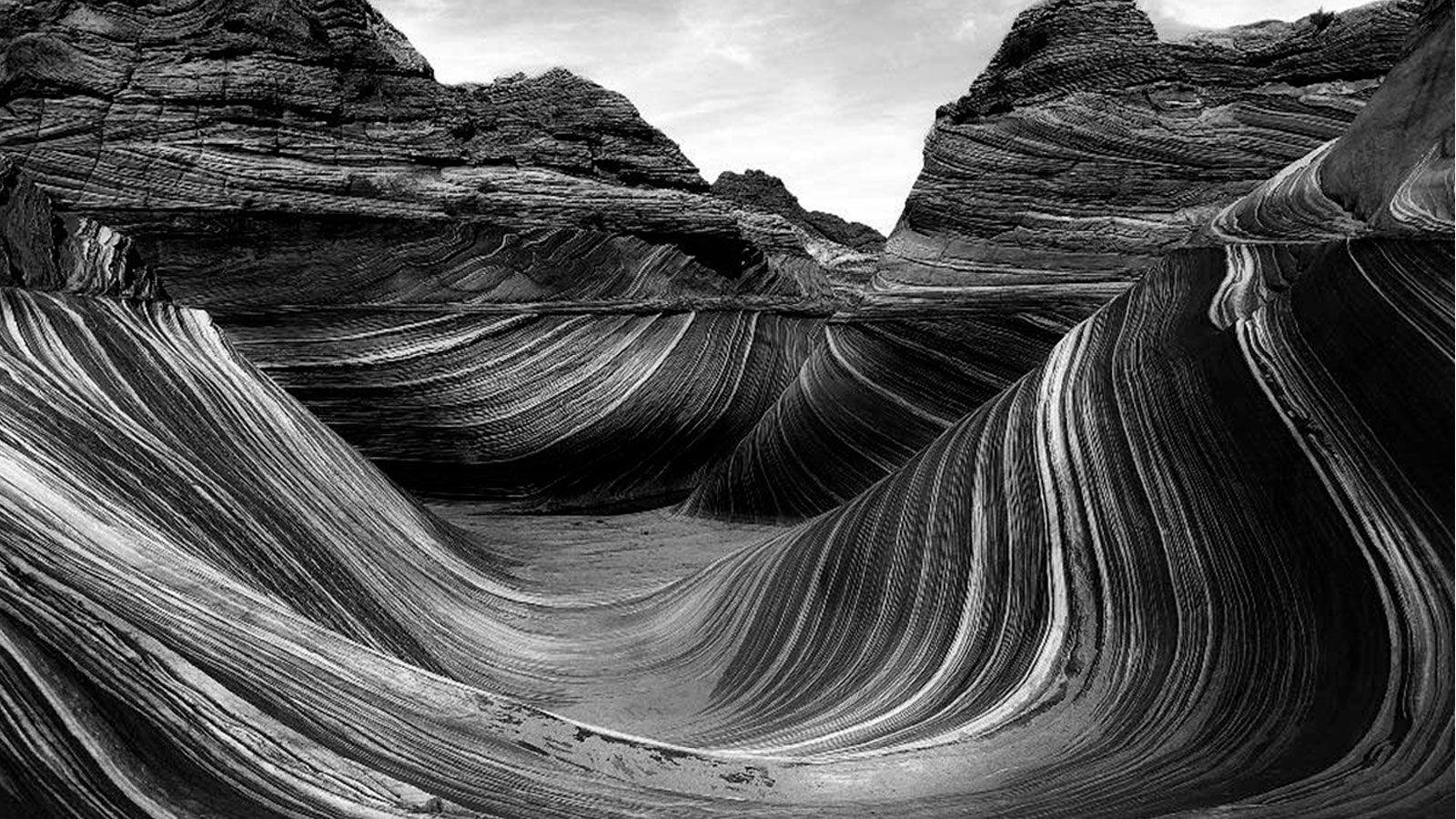 Los ganadores de los IPPAWRDS 2020 (o fotografías sacadas con iPhone)