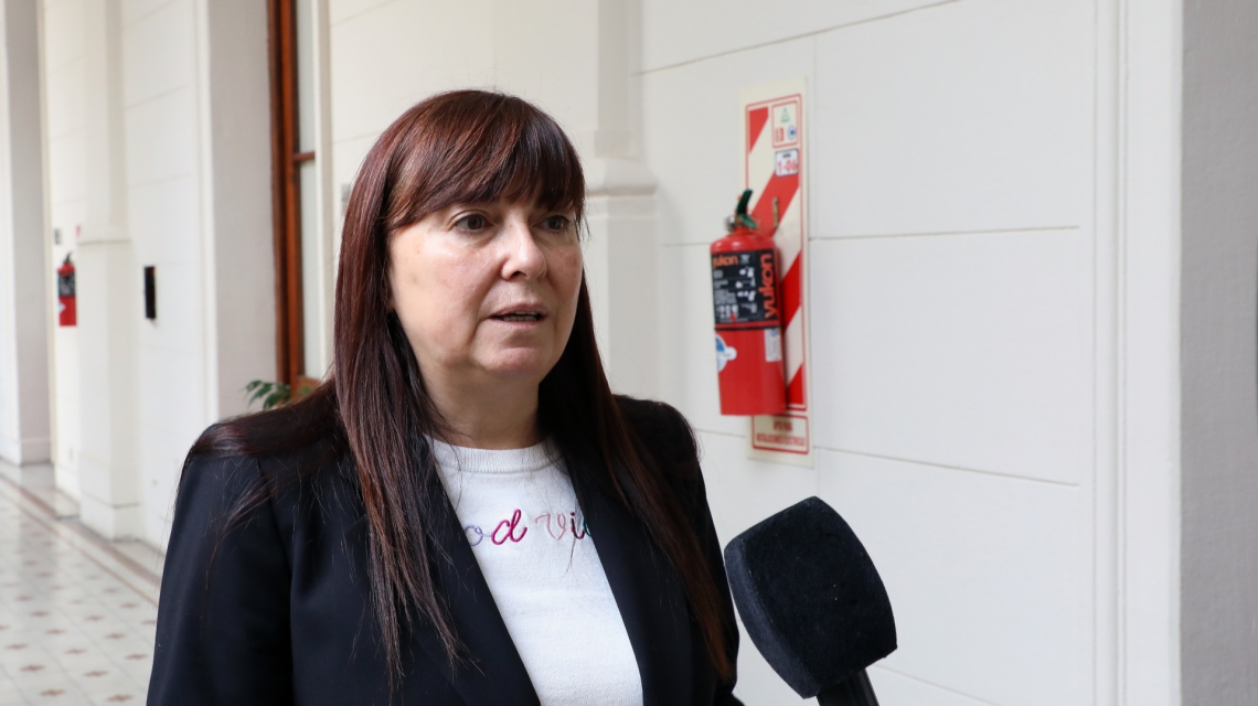 "Es un paso importantísimo en lo que tiene que ver con la institucionalidad de la provincia", sostuvo Celia Arena.