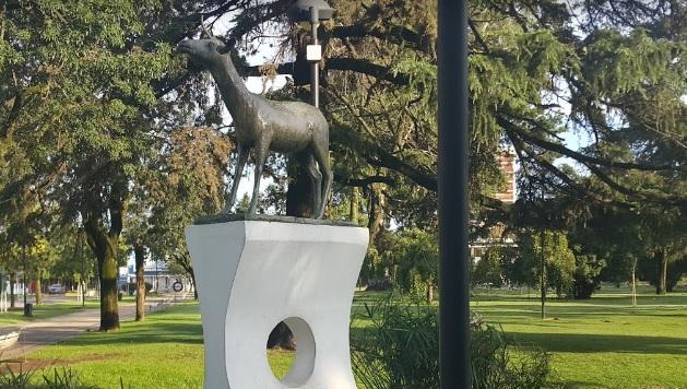 El joven está aislado en Venado Tuerto.