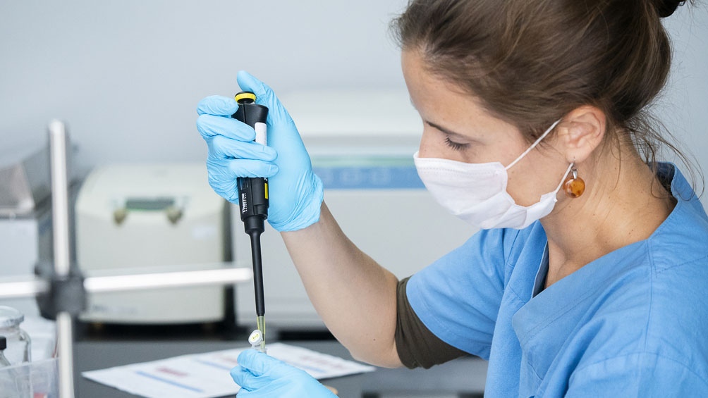 El plasma como posibilidad para determinados pacientes Covid 19.