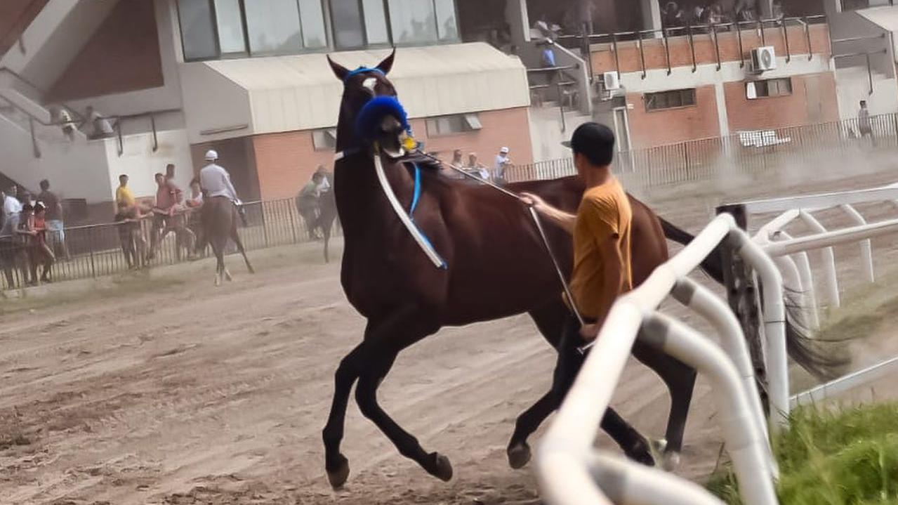 El Hipódromo de Rosario está a un paso de retomar las actividades