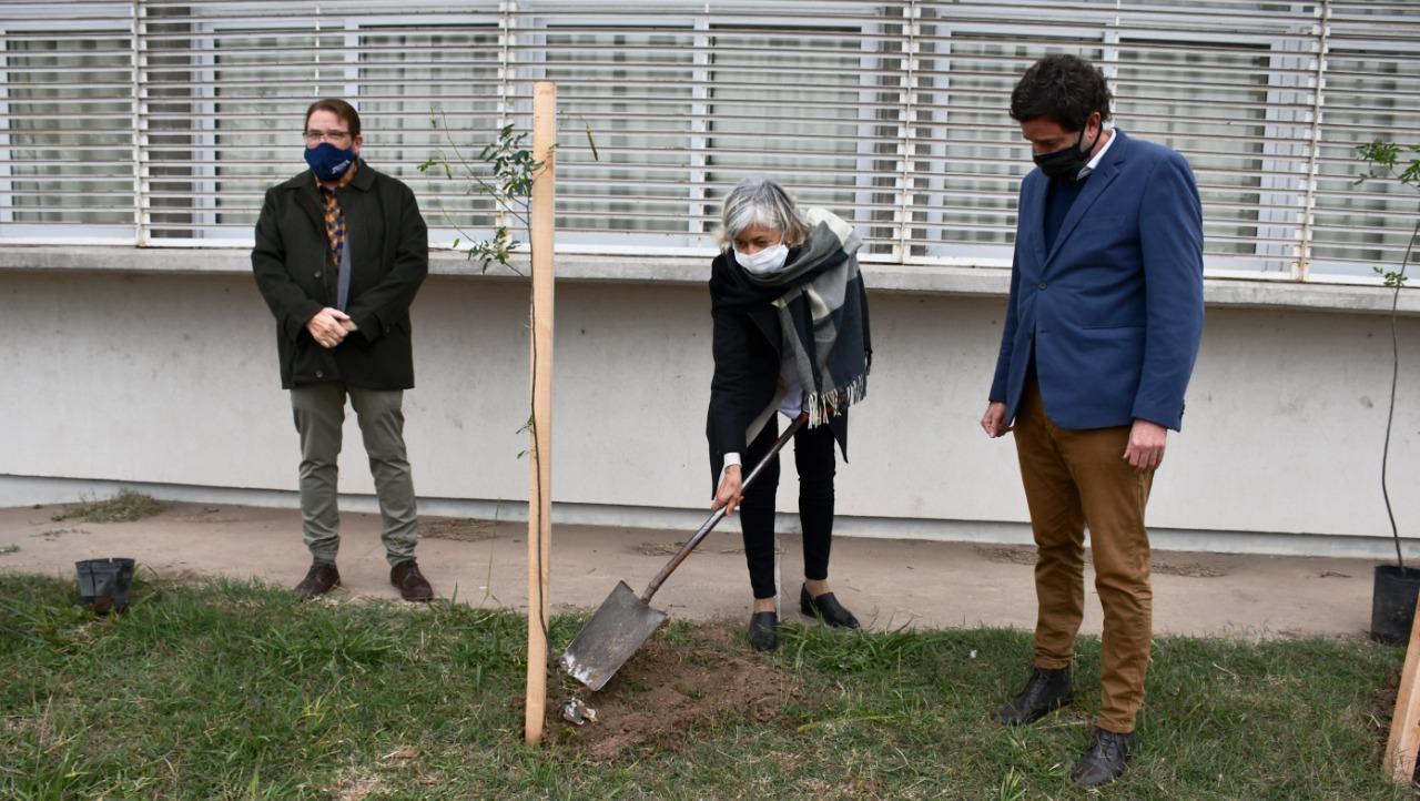 La nueva escuela "Ara San Juan" ya alberga los árboles donados por A.CA.PES.CO