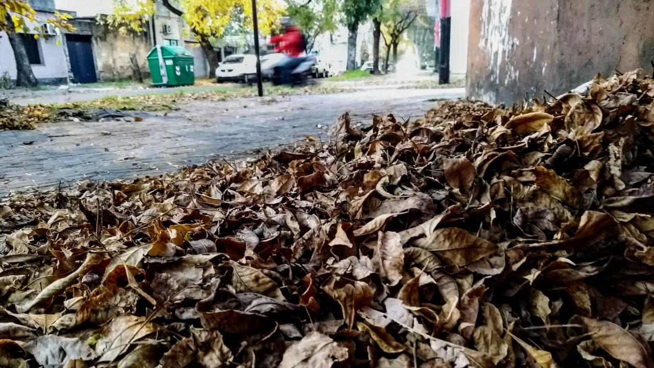 El viento volará todas las hojas