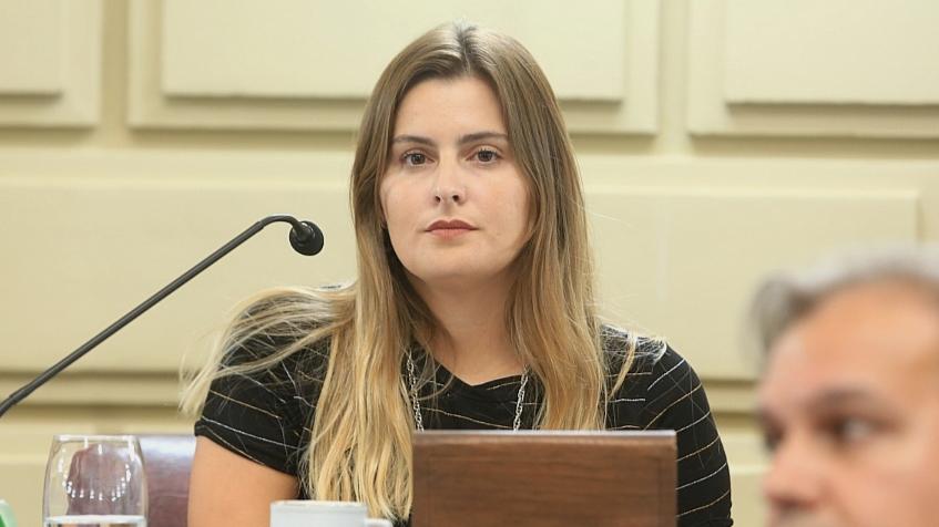 Lionella Cattalini, autora del pedido de informe al Ejecutivo.