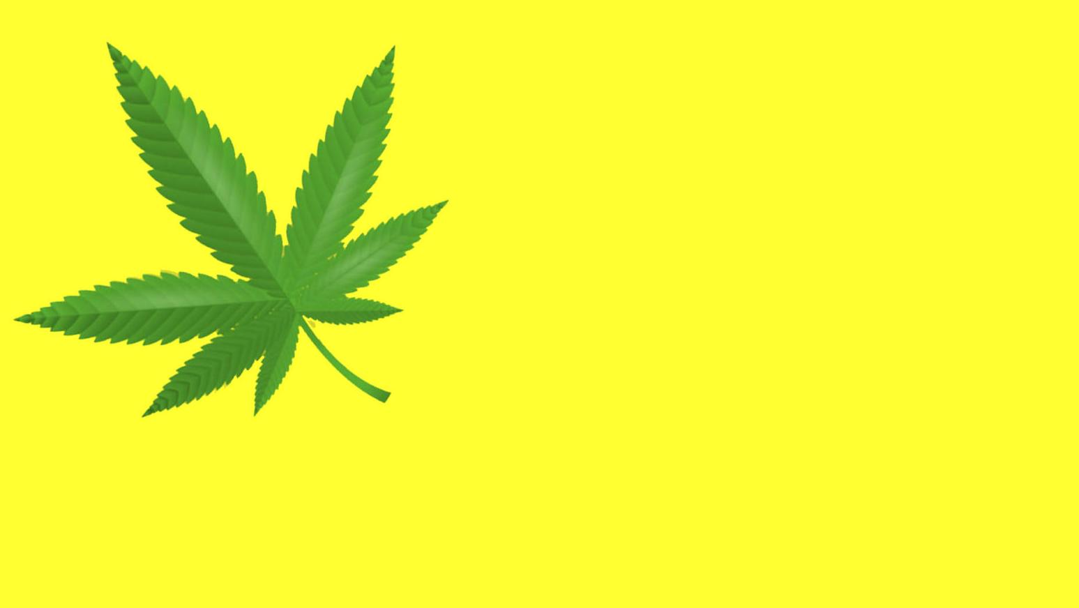 Encuentran una planta de marihuana en un estadio de fútbol