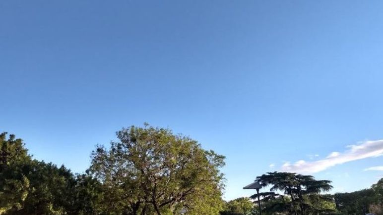No apretará el sol