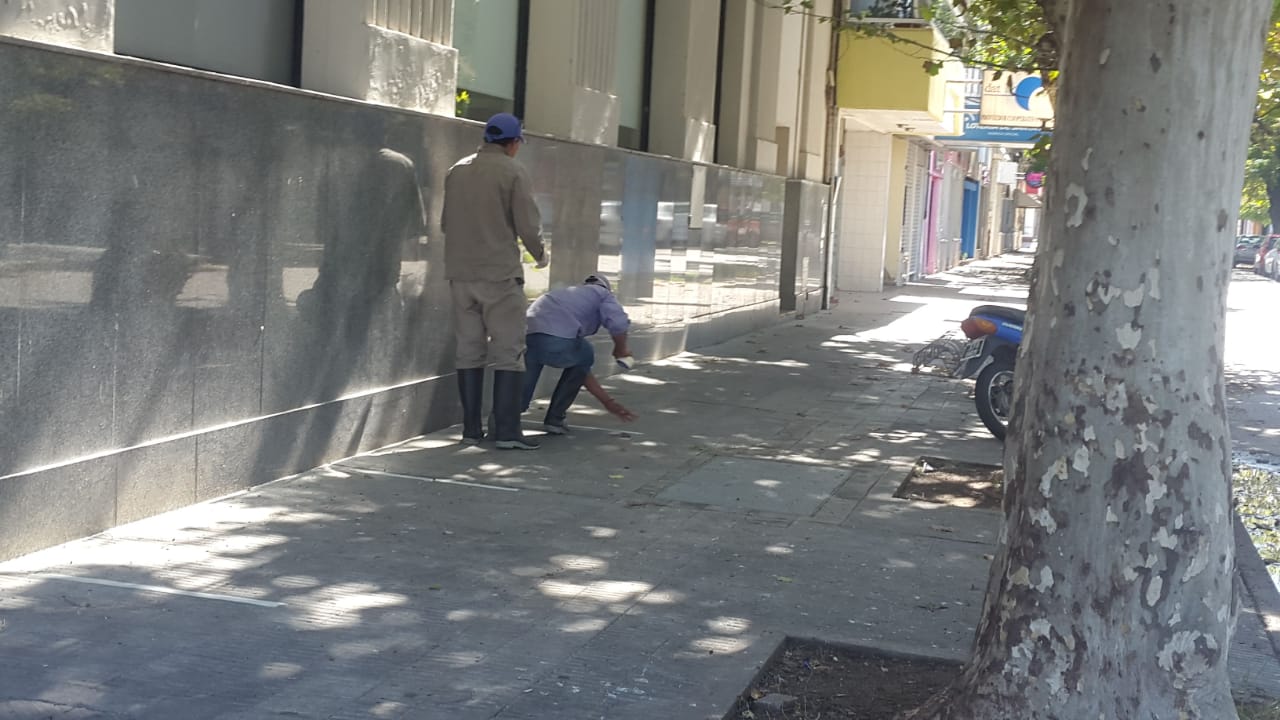 Las entidades bancarias tendrán señales para los que asistan.