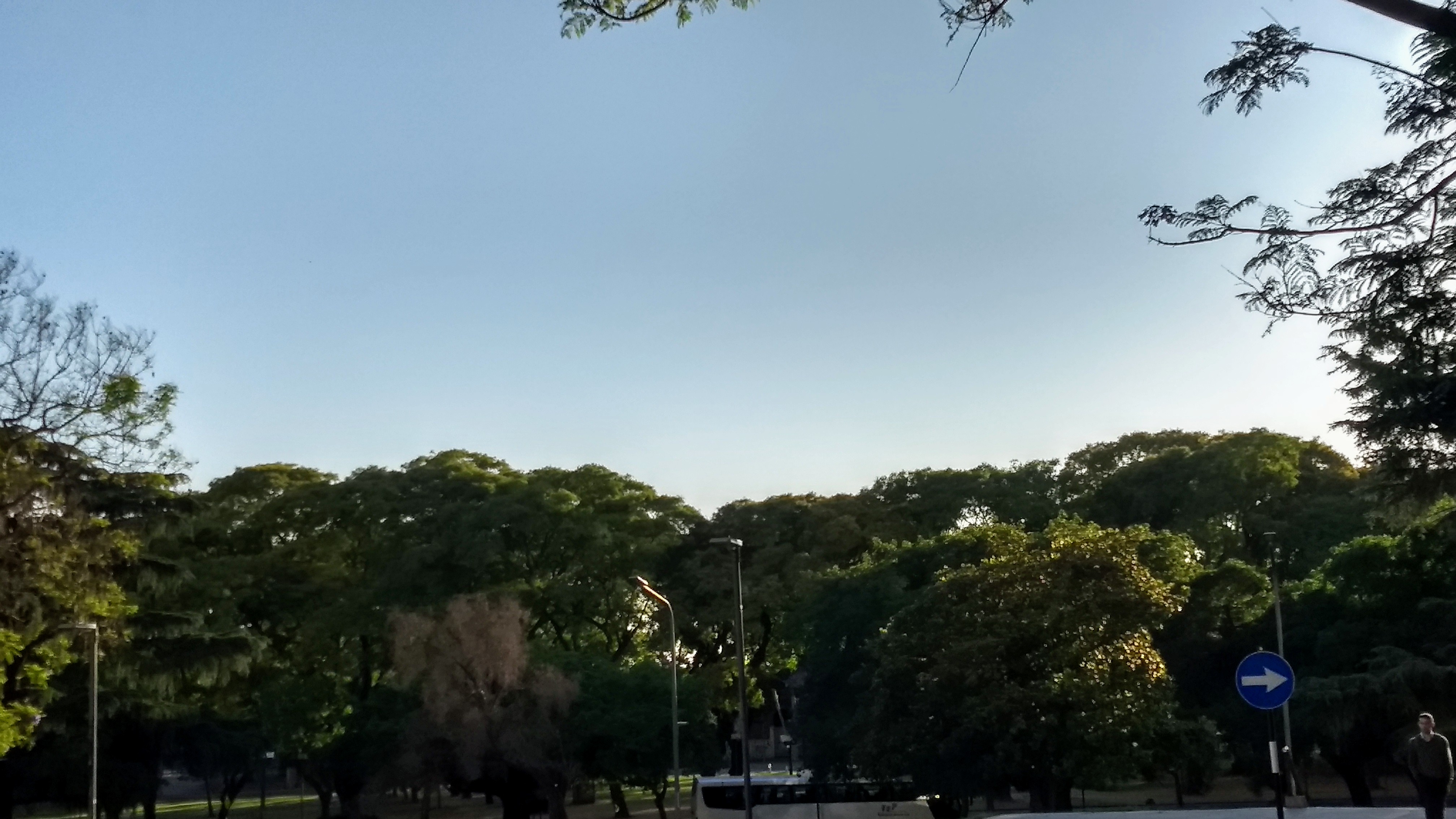 Cielo despejado