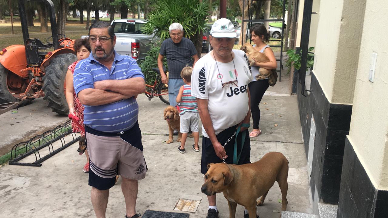 Perros y gatos fueron atendidos.