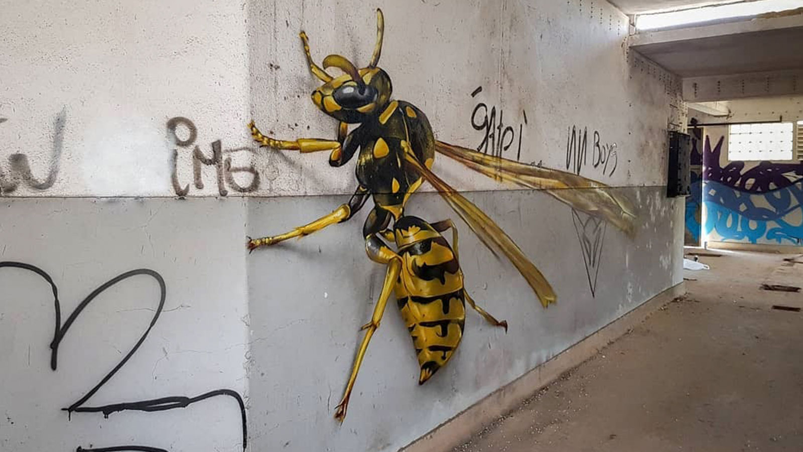 Odeith y sus murales en tres dimensiones