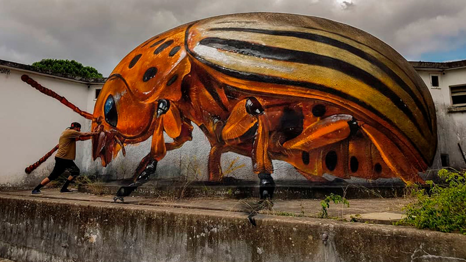 Odeith y sus murales en tres dimensiones