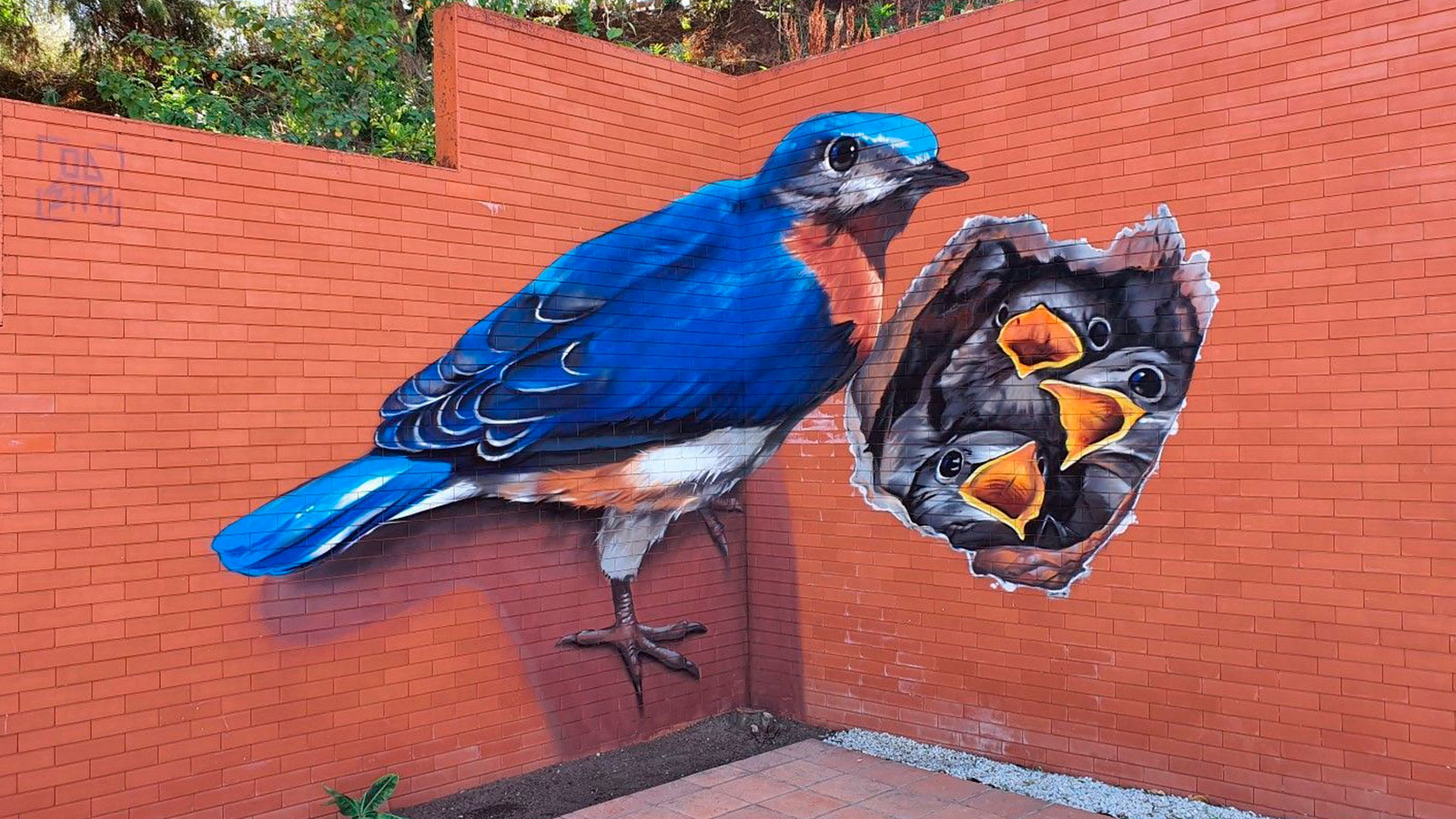 Odeith y sus murales en tres dimensiones