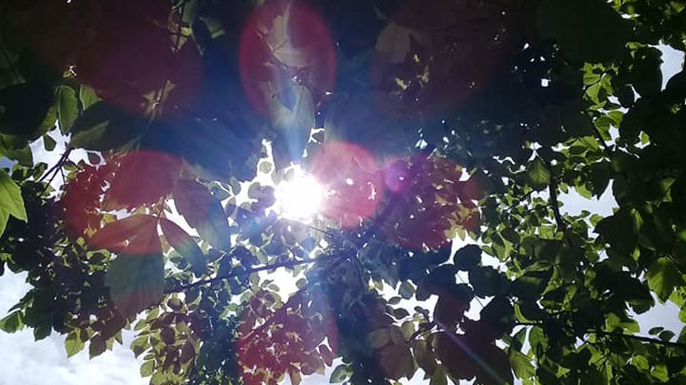 Asoma el sol y quiere comenzar a castigar.