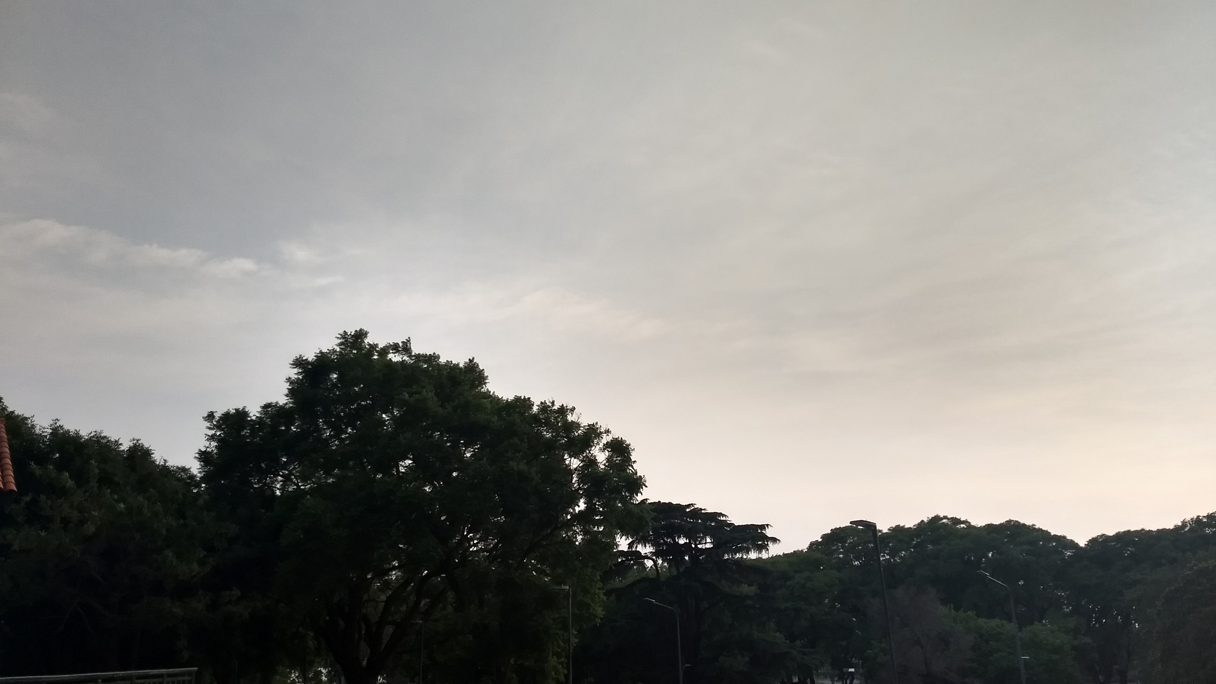 Ganas de lluvia