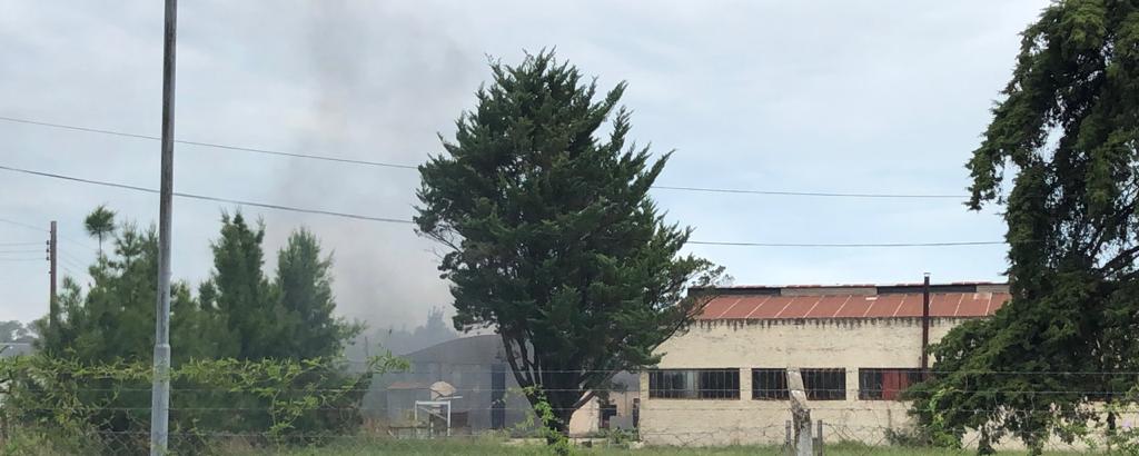 El incendio fue controlado rápidamente. No hubo heridos ni grandes daños materiales.