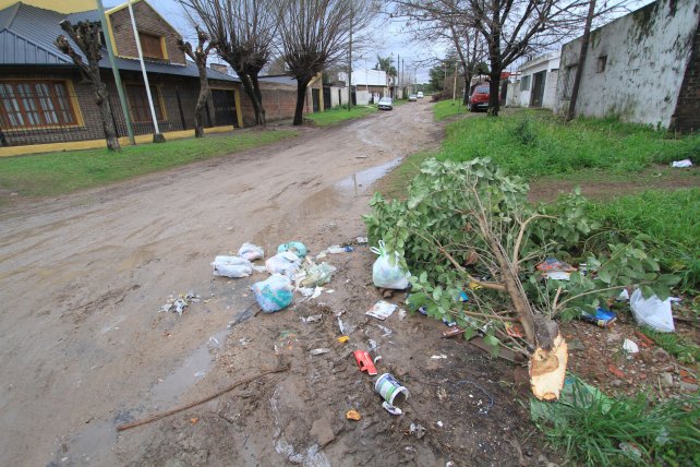 La falta de higiene urbana propicia focos infecciosos de este mal.