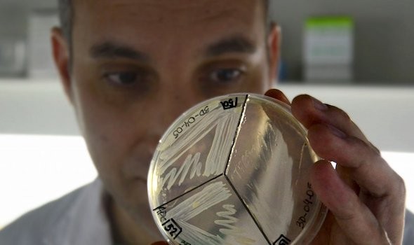 La UNR reabre una carrera y lo hace con perspectiva de género