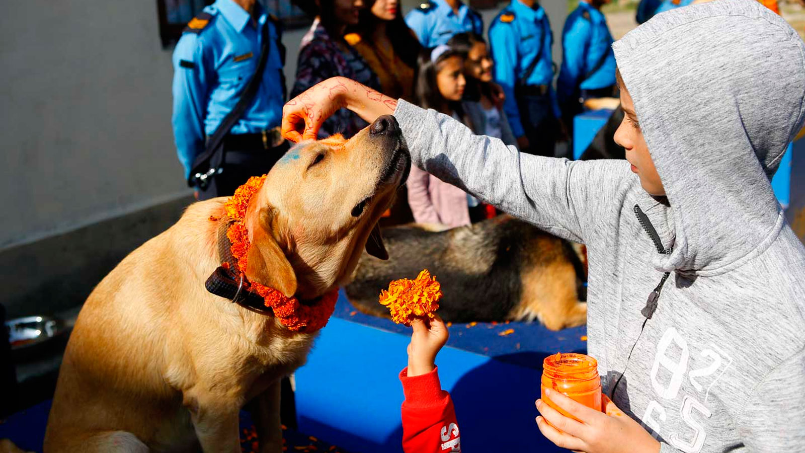 Kukur Tihar, el festival que celebra a los perros