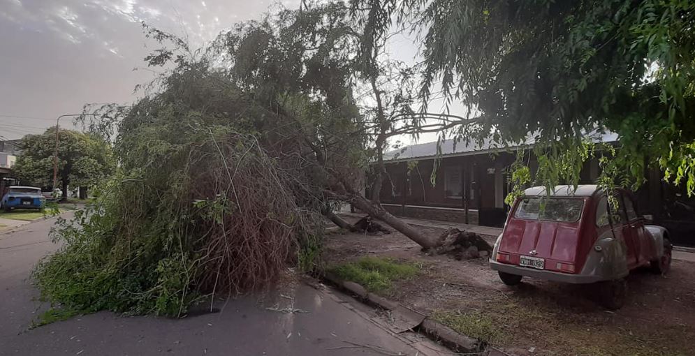 Consecuencias del temporal en Villa Gobernador Gálvez.
