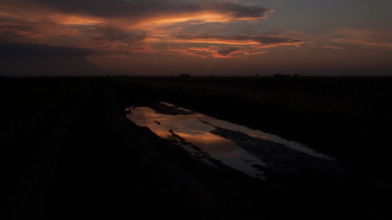 La Pampa Húmeda, paisaje que caracteriza al sur santafesino.