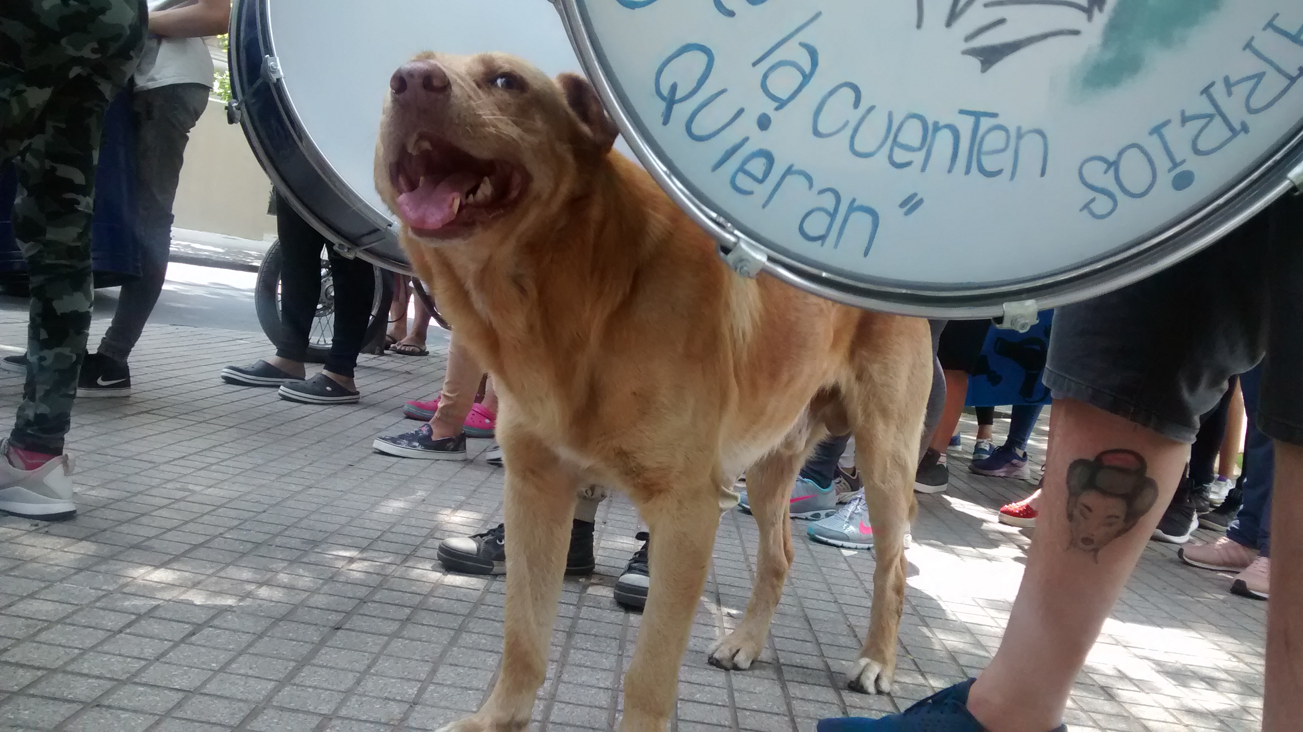 Los cientos de jóvenes y sus capacitadores marcharon desde plaza San Martín.