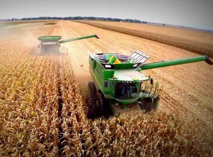 La producción de maíz superó por primera vez en las últimas décadas a la soja,