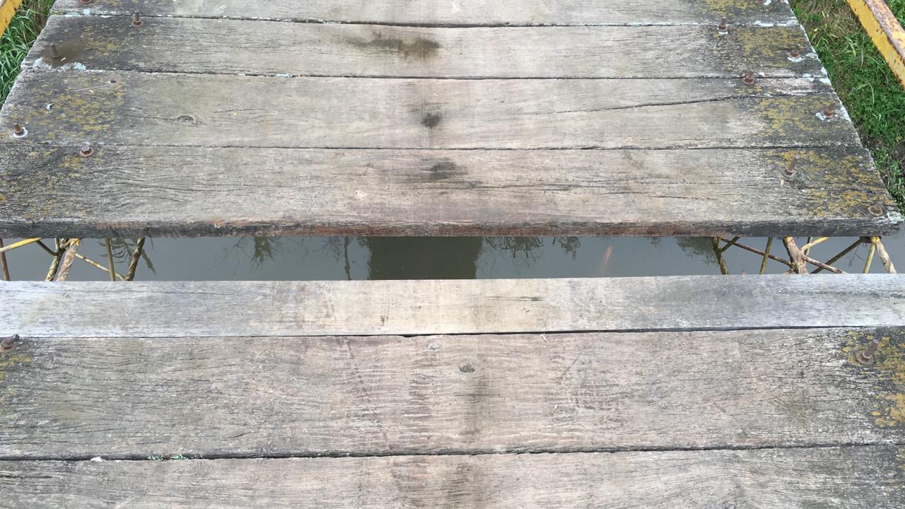 La falta de una madera preocupa.