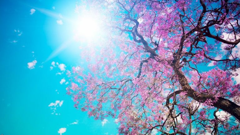 Se viene una seguidilla de días con buen clima