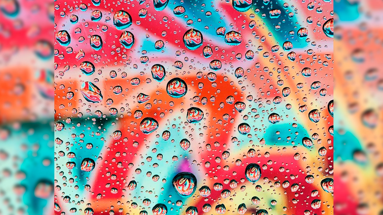 Las imágenes ganadoras del concurso "Shot on iPhone" de Apple