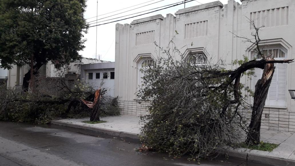 Varias cuadras fueron afectadas por el temporal.