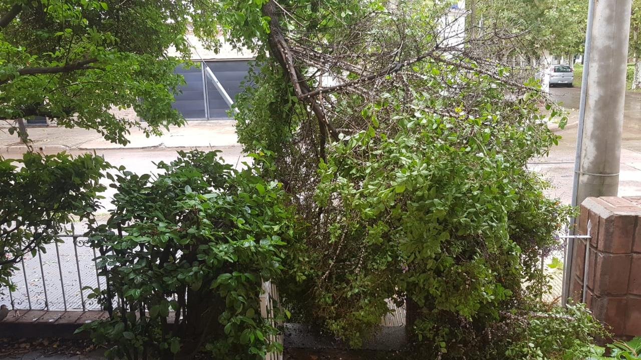 Vecinos enviaron fotos de los frentes de su vivienda.