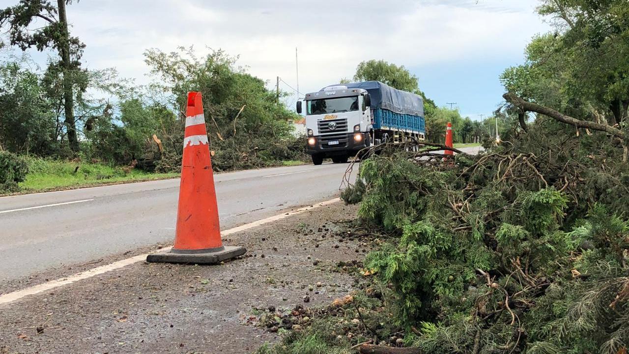 Ramas por doquier. La banquina de la 33 está ocupada.