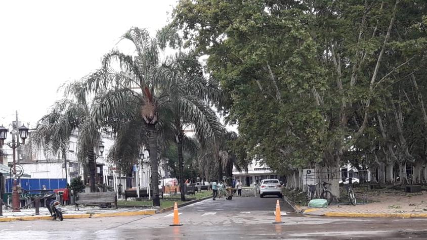 La calle Sarmiento se vio interrumpida por personal de limpieza municipal.