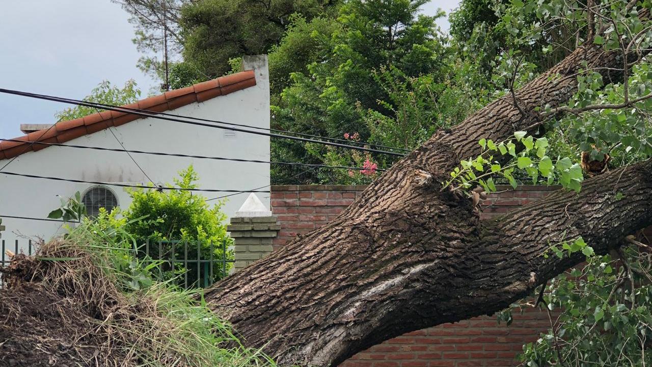 Problemas con el suministro de energía en la ciudad.