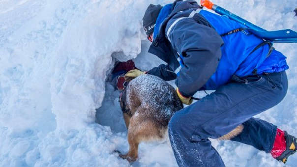 Hallan vivo a un niño atrapado bajo la nieve en los Alpes
