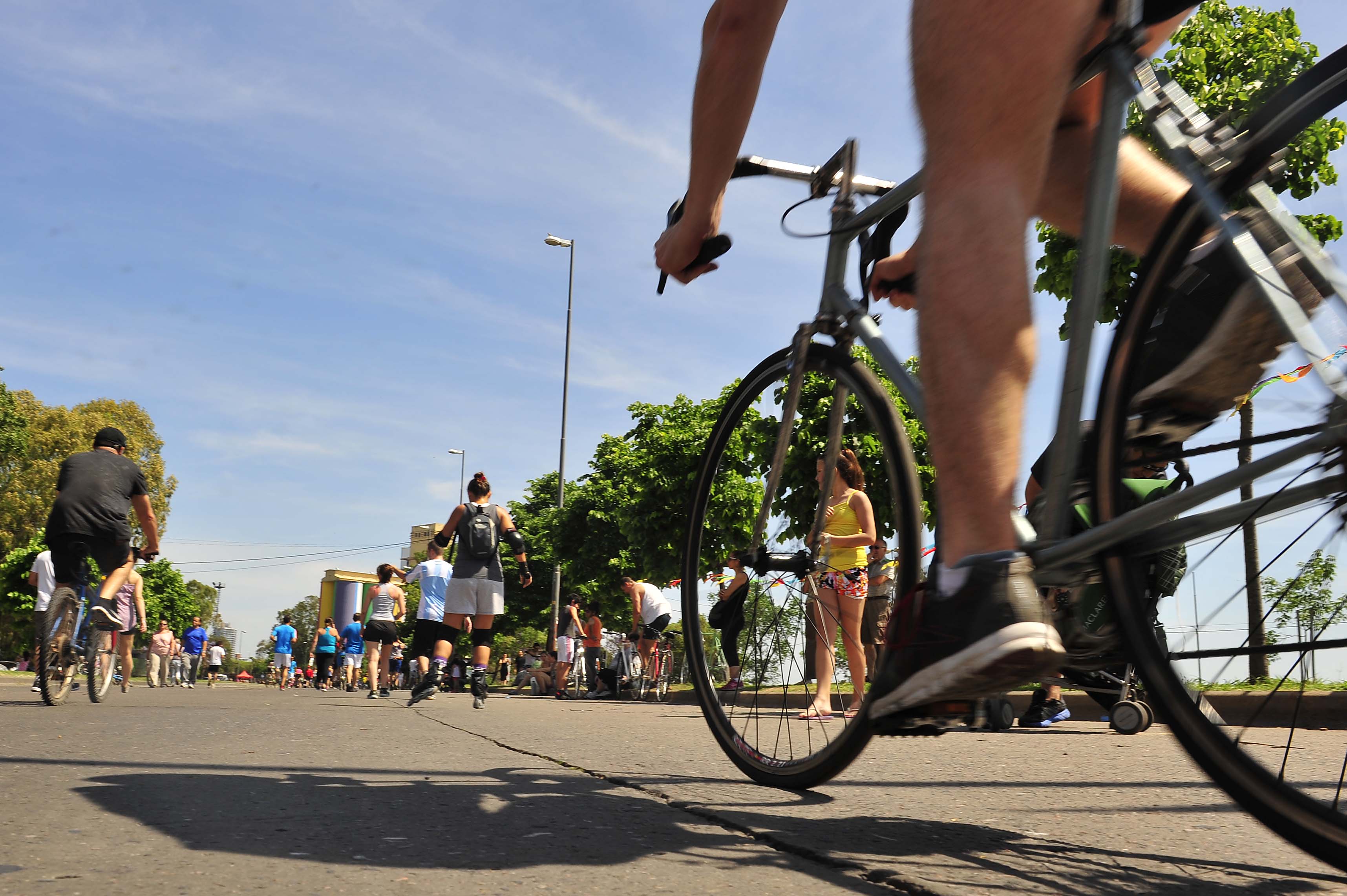 Diez puntos para bicicletear (Franco Trovato)