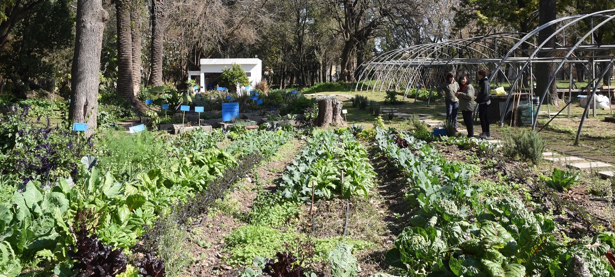 Arranca la Semana de la Agricultura Urbana