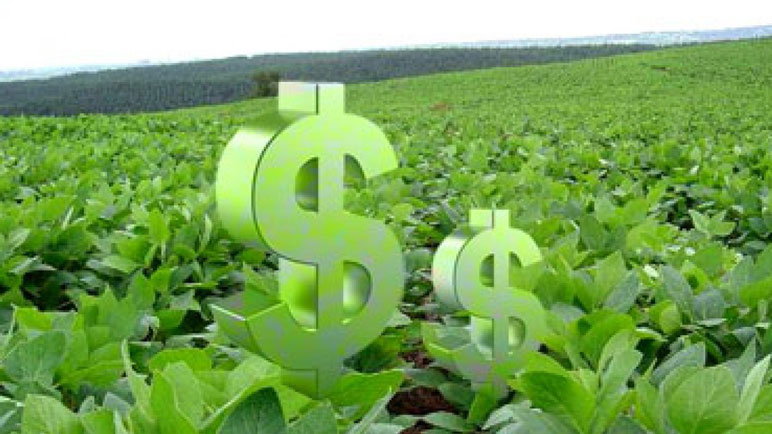La Soja produjo un dinero que, por ahora, no volverá a la región.