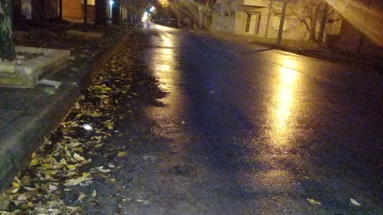 Las calles amanecieron húmedas, y rodeadas de hojas del otoño.