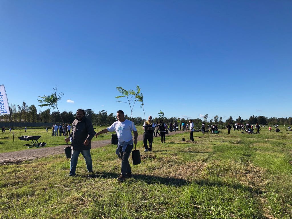 Unos 350 rosarinos plantaron mil árboles en el Bosque de los Constituyentes