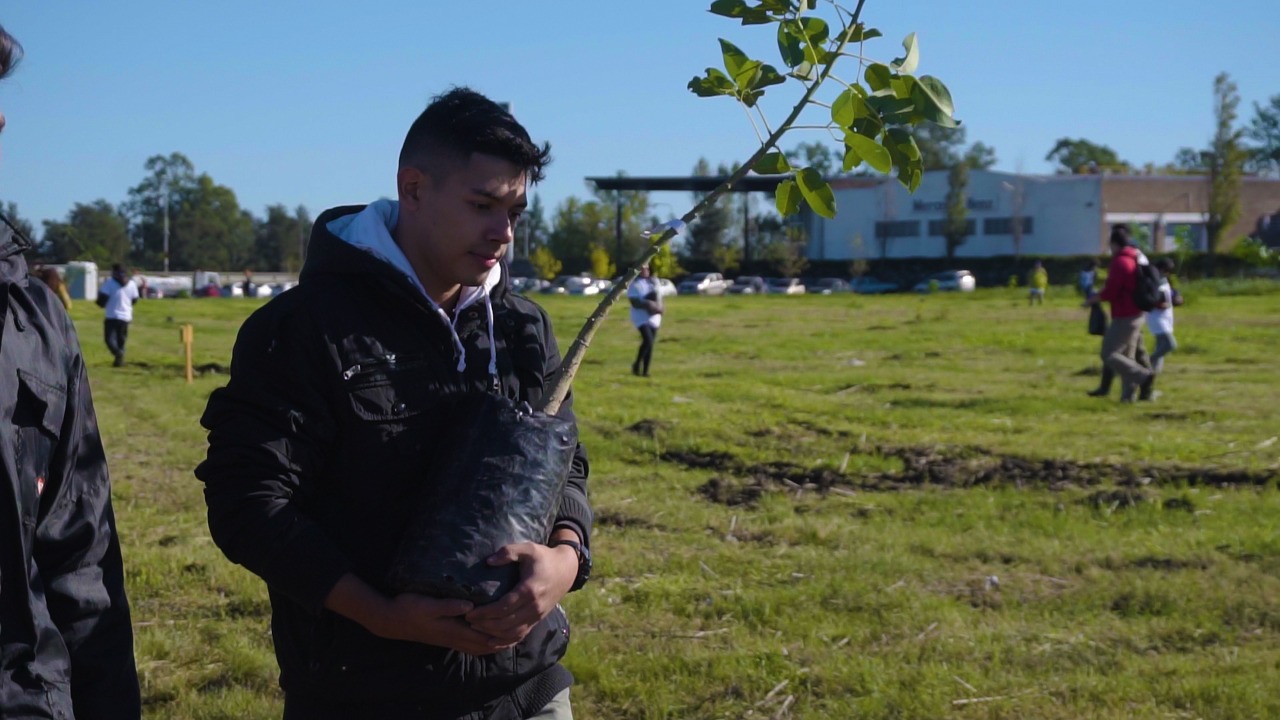Unos 350 rosarinos plantaron mil árboles en el Bosque de los Constituyentes