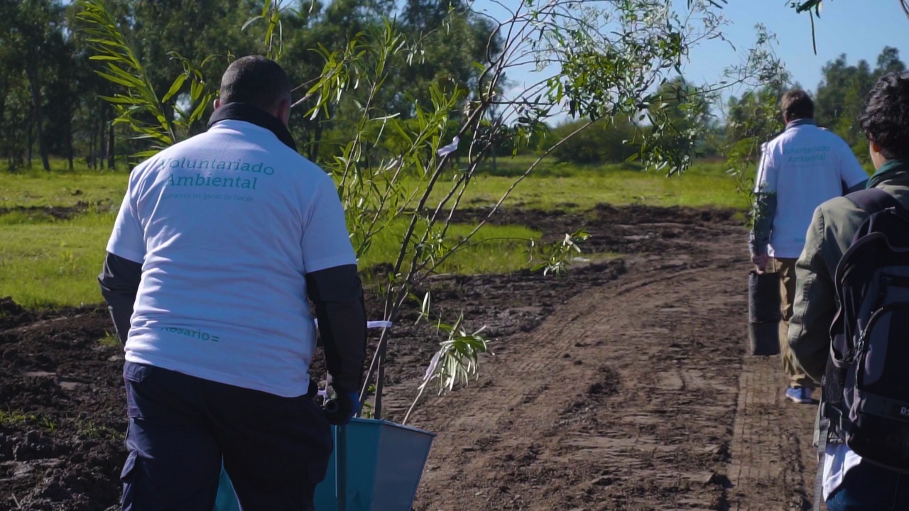 Unos 350 rosarinos plantaron mil árboles en el Bosque de los Constituyentes