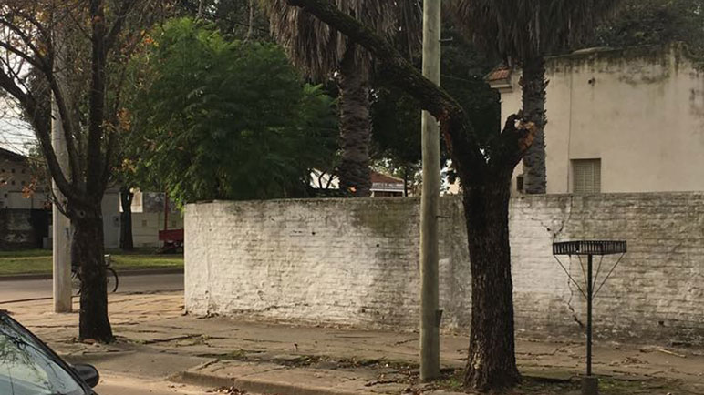 Un árbol está a punto de caerse sobre una transitada esquina de la ciudad