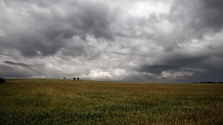Lluvia para los campos. El agua es necesaria en la región.